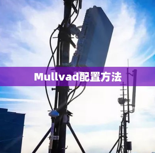Mullvad配置方法