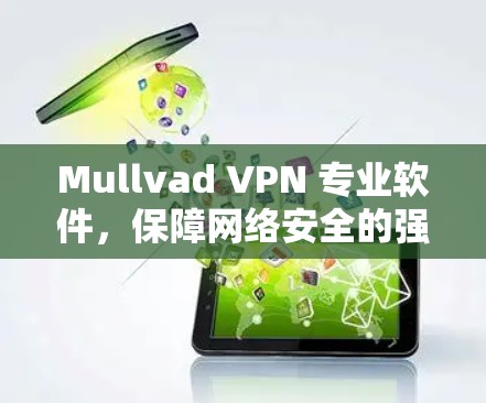 Mullvad VPN 专业软件，保障网络安全的强力选择