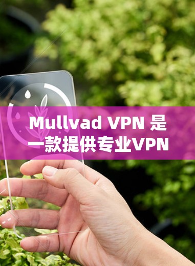 Mullvad VPN 是一款提供专业VPN服务的客户端，旨在帮助用户获得安全、无密码的网络连接。如果你正在寻找一款可靠、专业的VPN客户端，Mullvad VPN 可能是一个不错的选择