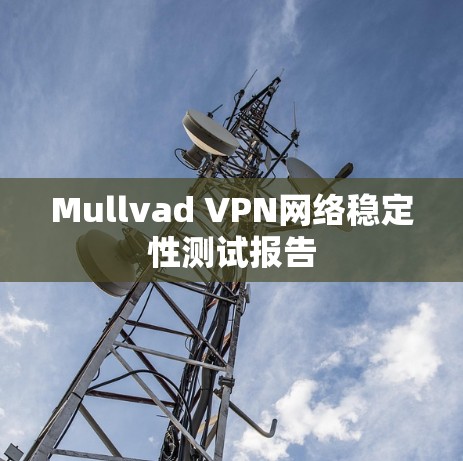 Mullvad VPN网络稳定性测试报告