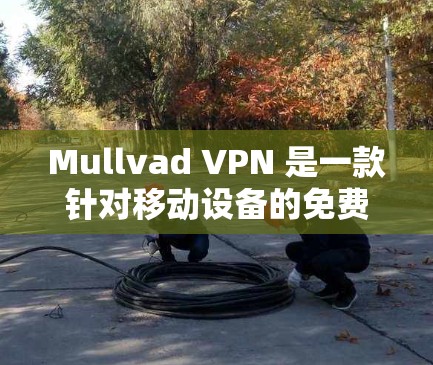Mullvad VPN 是一款针对移动设备的免费VPN工具，适合需要快速访问网络的用户。如果你正在寻找一款免费且功能强大的移动VPN工具，以下是一些热门<strong>梯子</strong>推荐，包括它们的优缺点和适用场景