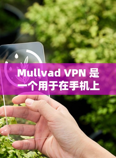 Mullvad VPN 是一个用于在手机上进行加密视频通话和文件传输的软件。以下是使用 Mullvad VPN 在手机上进行操作的步骤和常见问题的解决方案