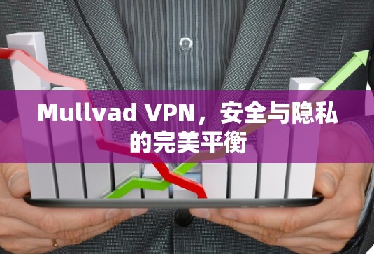 Mullvad VPN,安全与隐私的完美平衡 Mullvad VPN,安全与隐私的完美平衡