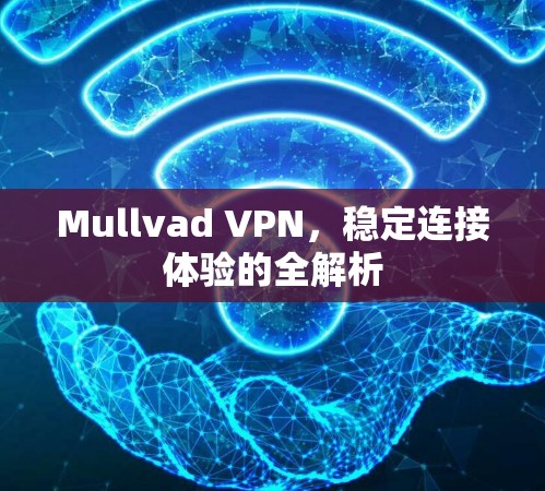 Mullvad VPN,稳定连接体验的全解析 Mullvad VPN,稳定连接体验的全解析