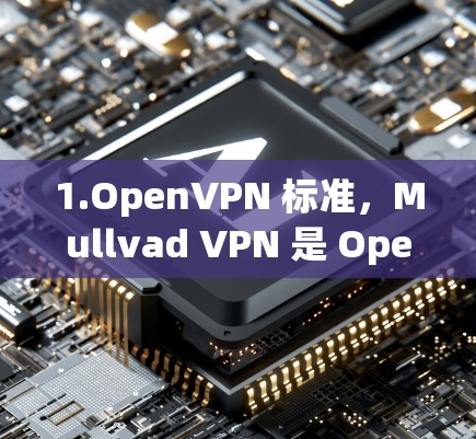1.OpenVPN 标准，Mullvad VPN 是 OpenVPN 标准下的客户端，确保了网络的安全性和稳定性