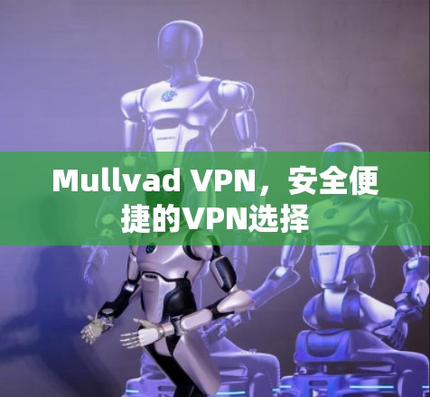 Mullvad VPN,安全便捷的VPN选择 Mullvad VPN,安全便捷的VPN选择