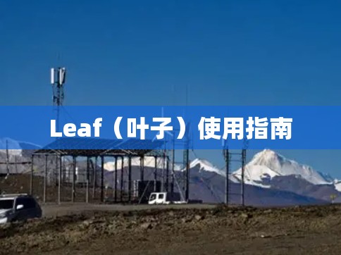 Leaf（叶子）使用指南