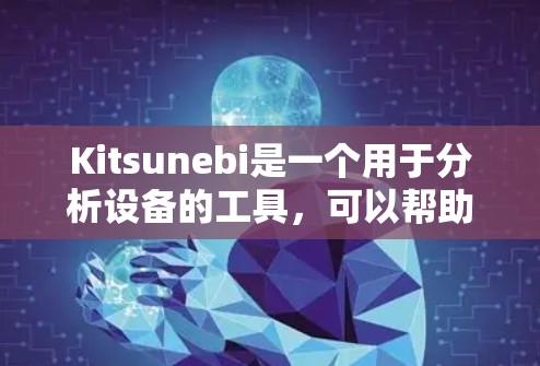 Kitsunebi是一个用于分析设备的工具，可以帮助你了解设备的类型、播放列表、搜索结果等。以下是逐步的使用指南