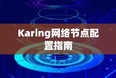 Karing网络节点配置指南