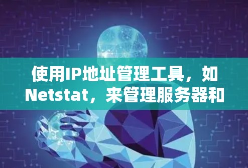 使用IP地址管理工具，如Netstat，来管理服务器和端口的IP地址，可以有效地帮助你在网络环境中高效访问和配置资源。以下是一个简洁的指南，帮助你快速上手