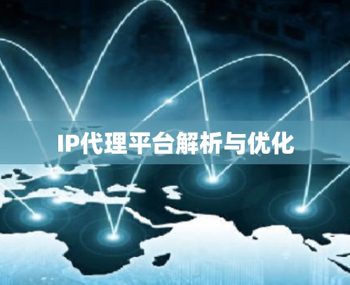 IP代理平台解析与优化