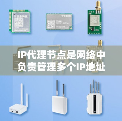IP代理节点是网络中负责管理多个IP地址代理服务器(如IP代理服务器、代理服务器组、代理服务器链等)的核心服务器。以下是对IP代理节点的详细总结 IP代理节点是网络中负责管理多个IP地址代理服务器(如IP代理服务器、代理服务器组、代理服务器链等)的核心服务器。以下是对IP代理节点的详细总结