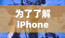 为了了解iPhone的网络性能，可以按照以下步骤进行