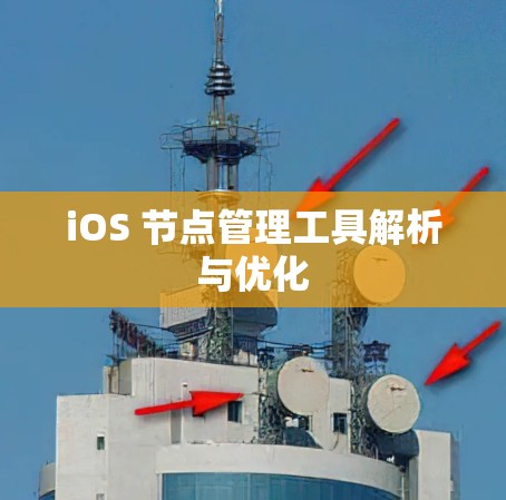 iOS 节点管理工具解析与优化