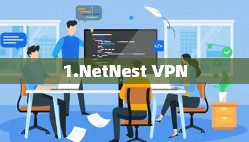 1.NetNest VPN