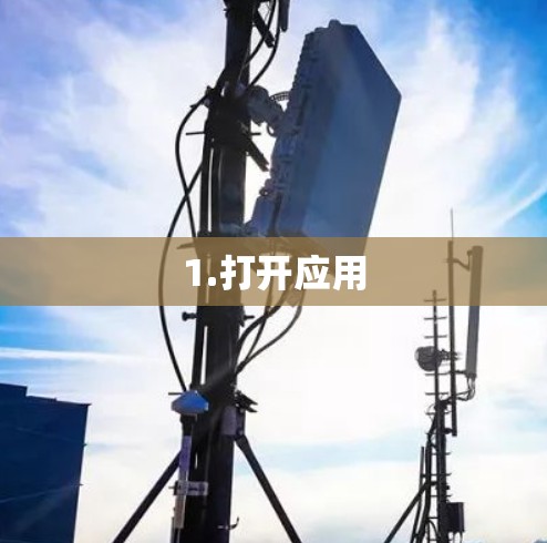 1.打开应用