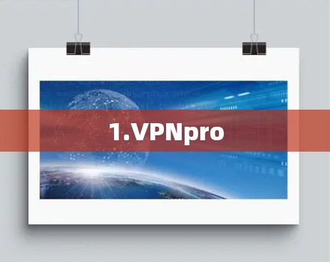 1.VPNpro