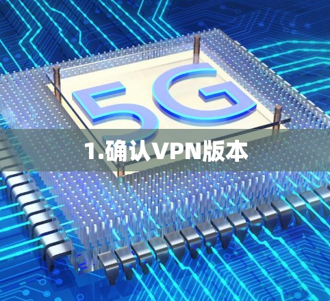 1.确认VPN版本