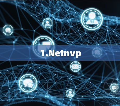 1.Netnvp