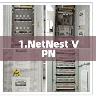 1.NetNest VPN