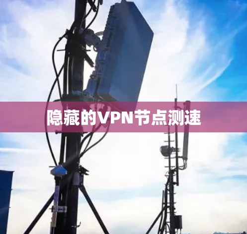 隐藏的VPN节点测速