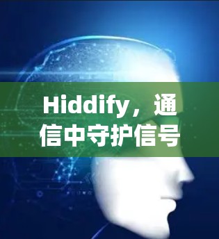 Hiddify，通信中守护信号与数据的完美平衡