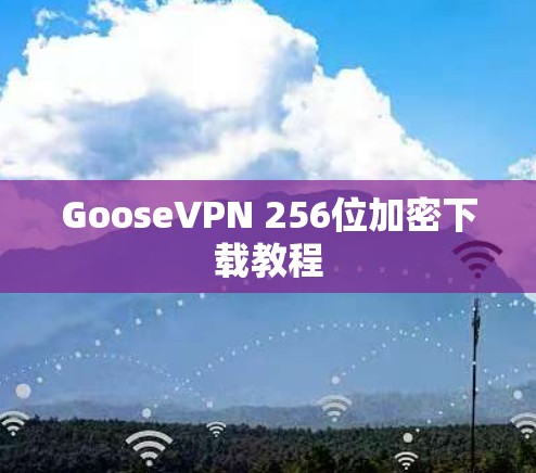 GooseVPN 256位加密下载教程