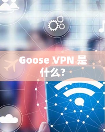Goose VPN 是什么? Goose VPN 是什么?
