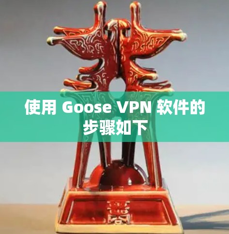 使用 Goose VPN 软件的步骤如下