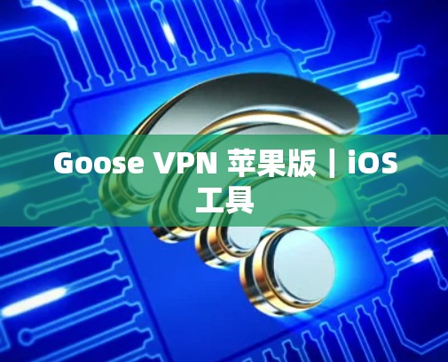 Goose VPN 苹果版|iOS工具 Goose VPN 苹果版|iOS工具