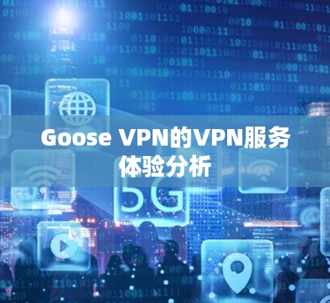 Goose VPN的VPN服务体验分析