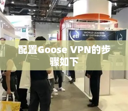 配置Goose VPN的步骤如下