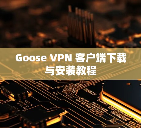 Goose VPN 客户端下载与安装教程