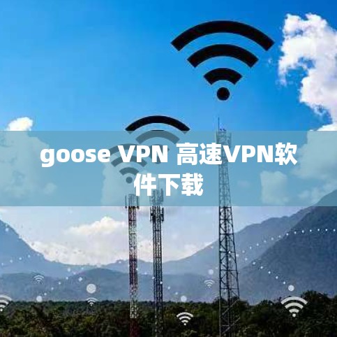 goose VPN 高速VPN软件下载