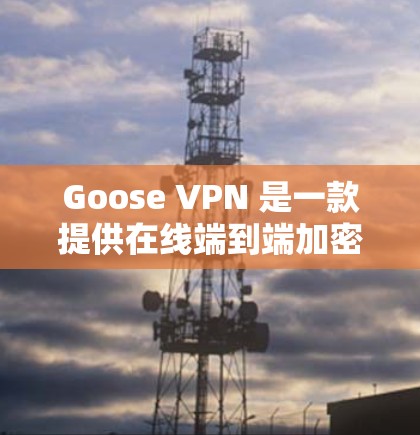 Goose VPN 是一款提供在线端到端加密VPN服务的软件，支持 Windows 1 和 Windows 7 以及以下版本。以下是使用 Goose VPN 的 Windows 环境配置指南