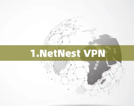 1.NetNest VPN