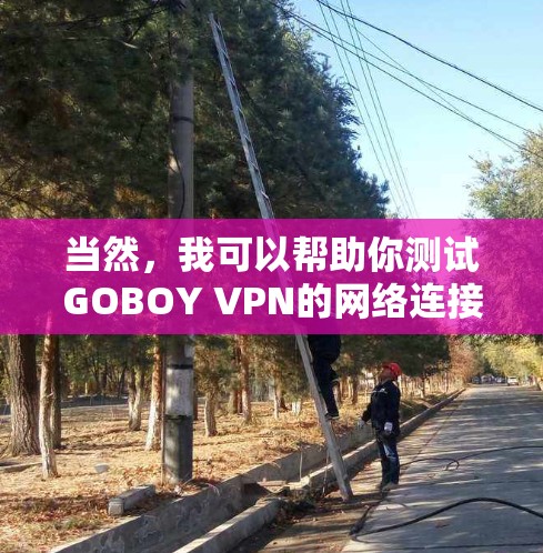 当然，我可以帮助你测试GOBOY VPN的网络连接。以下是一些步骤指南，帮助你确认VPN的正常连接和网络状态
