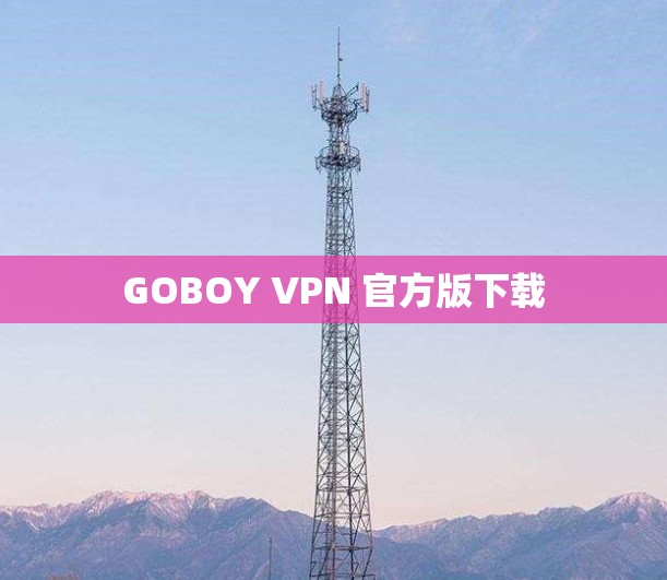 GOBOY VPN 官方版下载