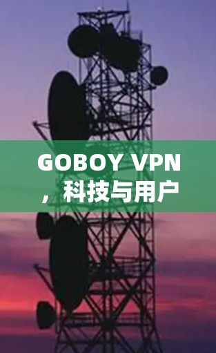 GOBOY VPN，科技与用户体验的完美结合