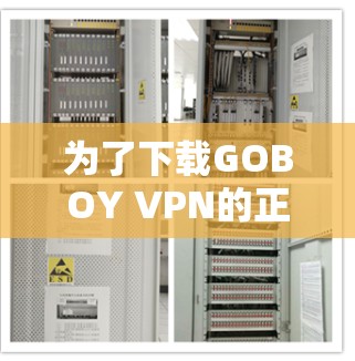 为了下载GOBOY VPN的正版软件,建议您以下步骤进行操作 为了下载GOBOY VPN的正版软件,建议您以下步骤进行操作
