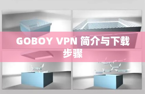GOBOY VPN 简介与下载步骤