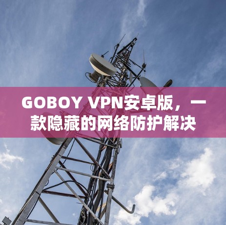 GOBOY VPN安卓版,一款隐藏的网络防护解决方案 GOBOY VPN安卓版,一款隐藏的网络防护解决方案