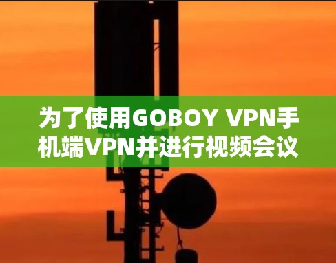 为了使用GOBOY VPN手机端VPN并进行视频会议，您可以按照以下步骤进行操作