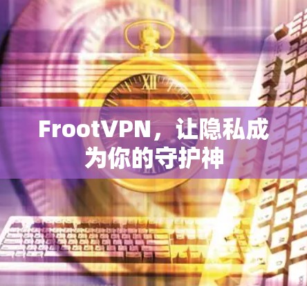 FrootVPN，让隐私成为你的守护神