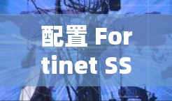 配置 Fortinet SSL VPN 的步骤如下