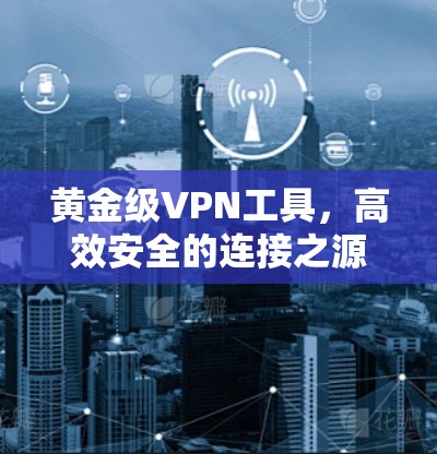 黄金级VPN工具，高效安全的连接之源