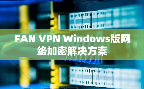 FAN VPN Windows版网络加密解决方案