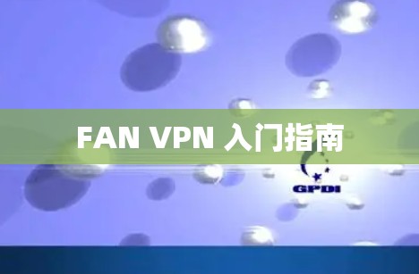 FAN VPN 入门指南