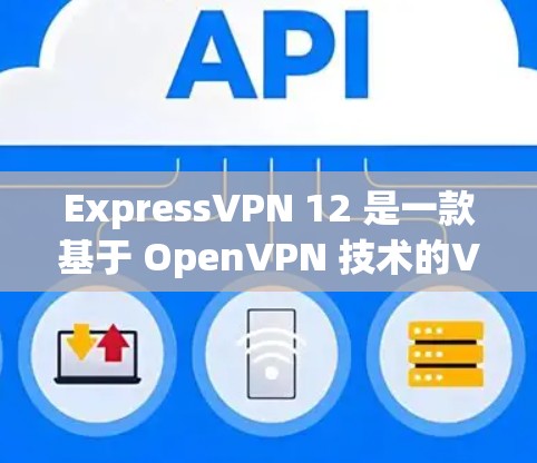 ExpressVPN 12 是一款基于 OpenVPN 技术的VPN服务，它提供了多种安全协议和功能，旨在为用户提供安全、可靠和高效的网络连接。以下是关于 ExpressVPN 12 的一些关键信息