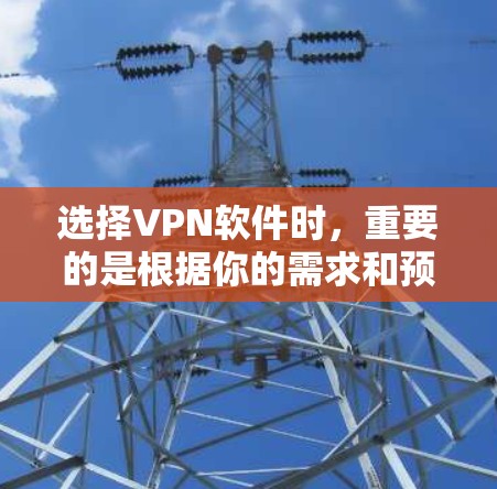 选择VPN软件时，重要的是根据你的需求和预算来决定。以下是一些常见的VPN软件推荐